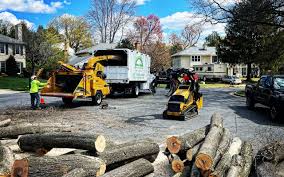Best Storm Damage Tree Cleanup  in Eatons Neck, NY